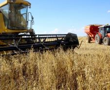 Adesão obrigatória de produtores rurais à nota fiscal eletrônica começa em 1º de maio